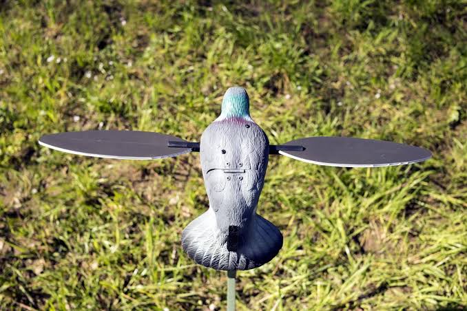 Mojo Outdoors Elite Series Dove Decoy HW2488 spinning wing premium | Beauty Riche